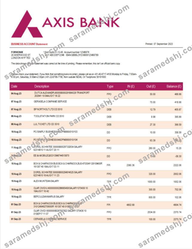 Axis Bank enterprise statement Word and PDF template